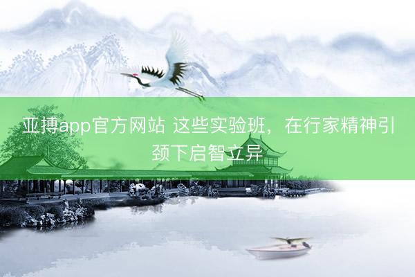 亚搏app官方网站 这些实验班，在行家精神引颈下启智立异