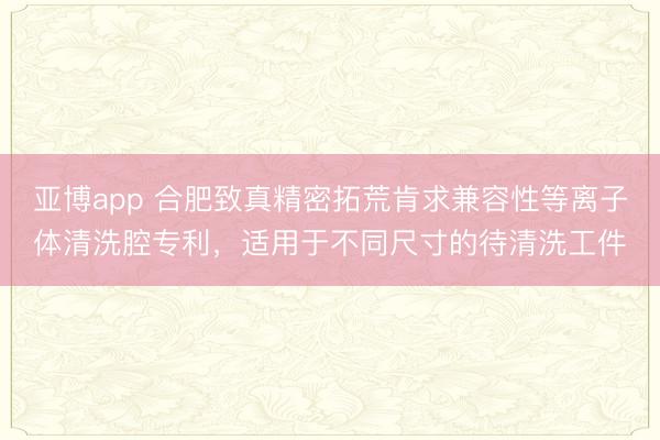亚博app 合肥致真精密拓荒肯求兼容性等离子体清洗腔专利,适用于不同尺寸的待清洗工件